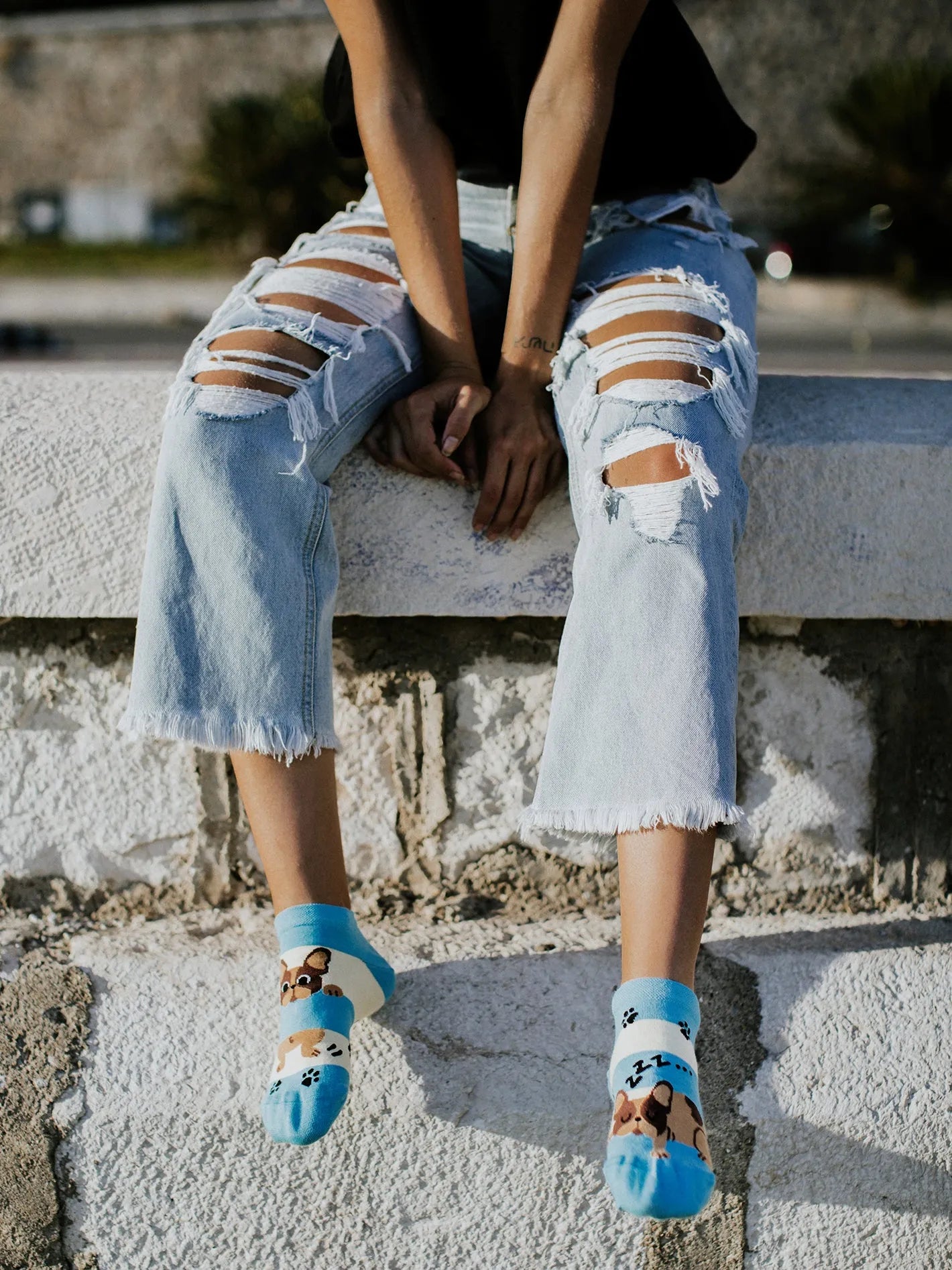 ankle-socks-dogs-stripes-1-54/545a7e7aed980ea6bb7d2a17ecb226f092185e0e