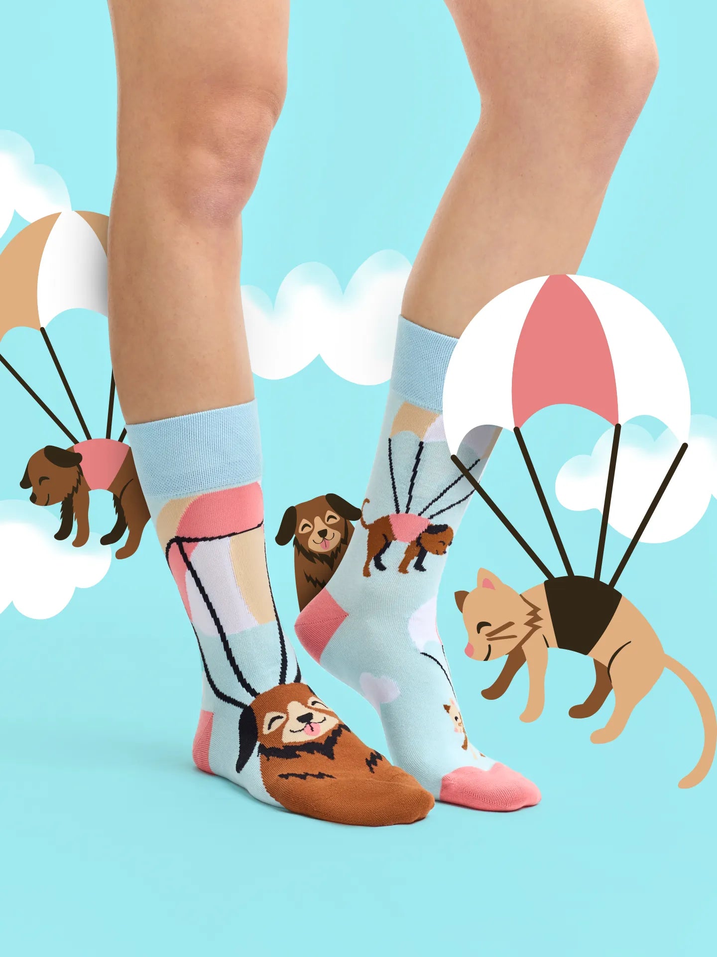 regular-socks-flying-cats-dogs-1-8c/8c81d7a642696ec1e5b3dd739a1d07199faafcea