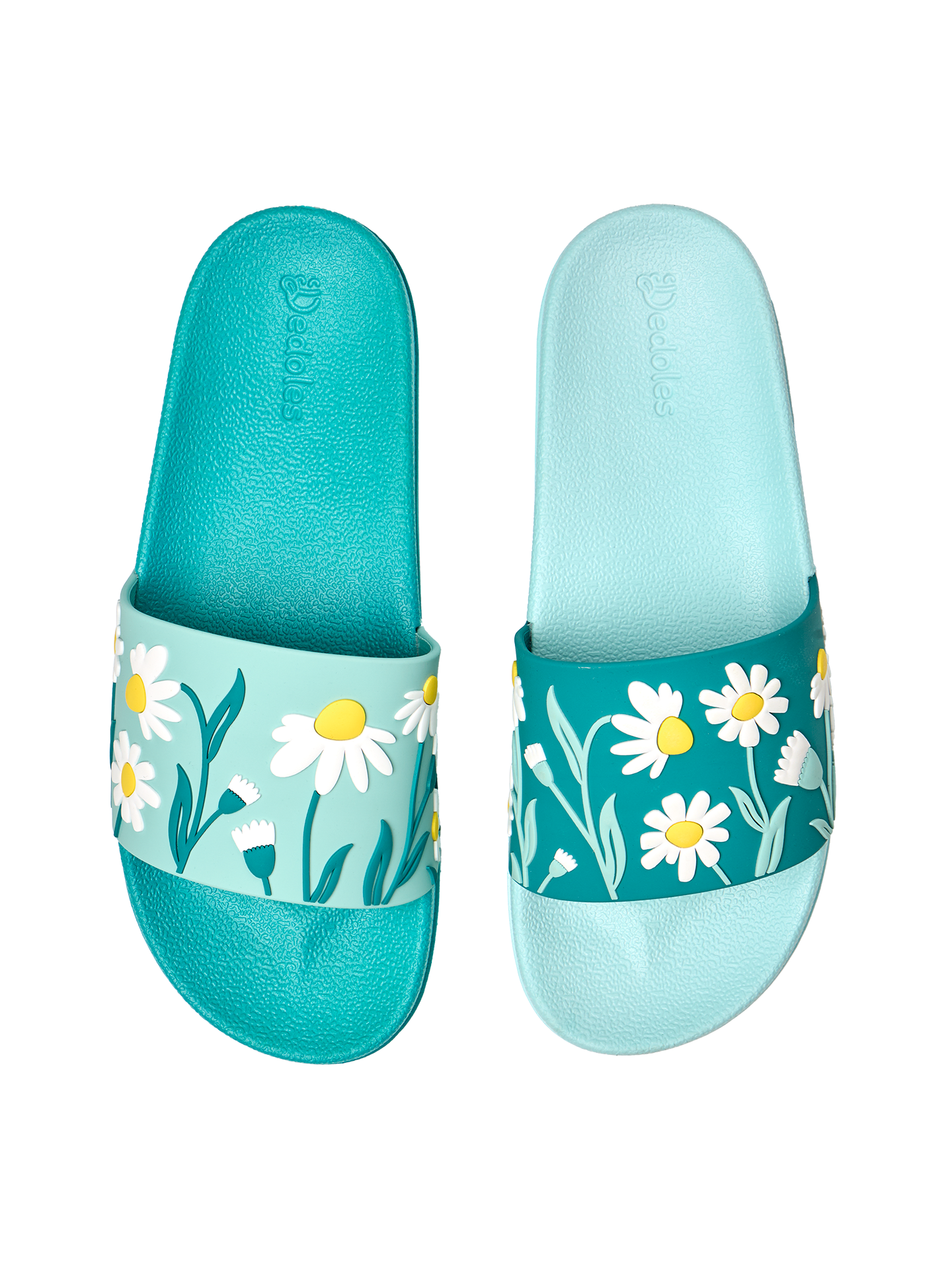 slides-turquoise-chamomile-33/33696d007c37a4bce54519549383f5d6c8adc16d