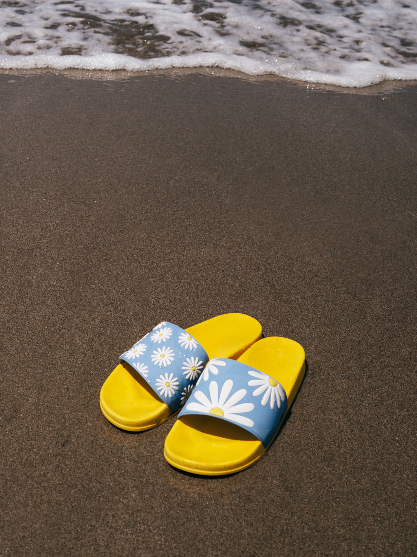 slides-sunny-daisy-00/00c2f89ffb3b2b564173d956867b157046a146f7