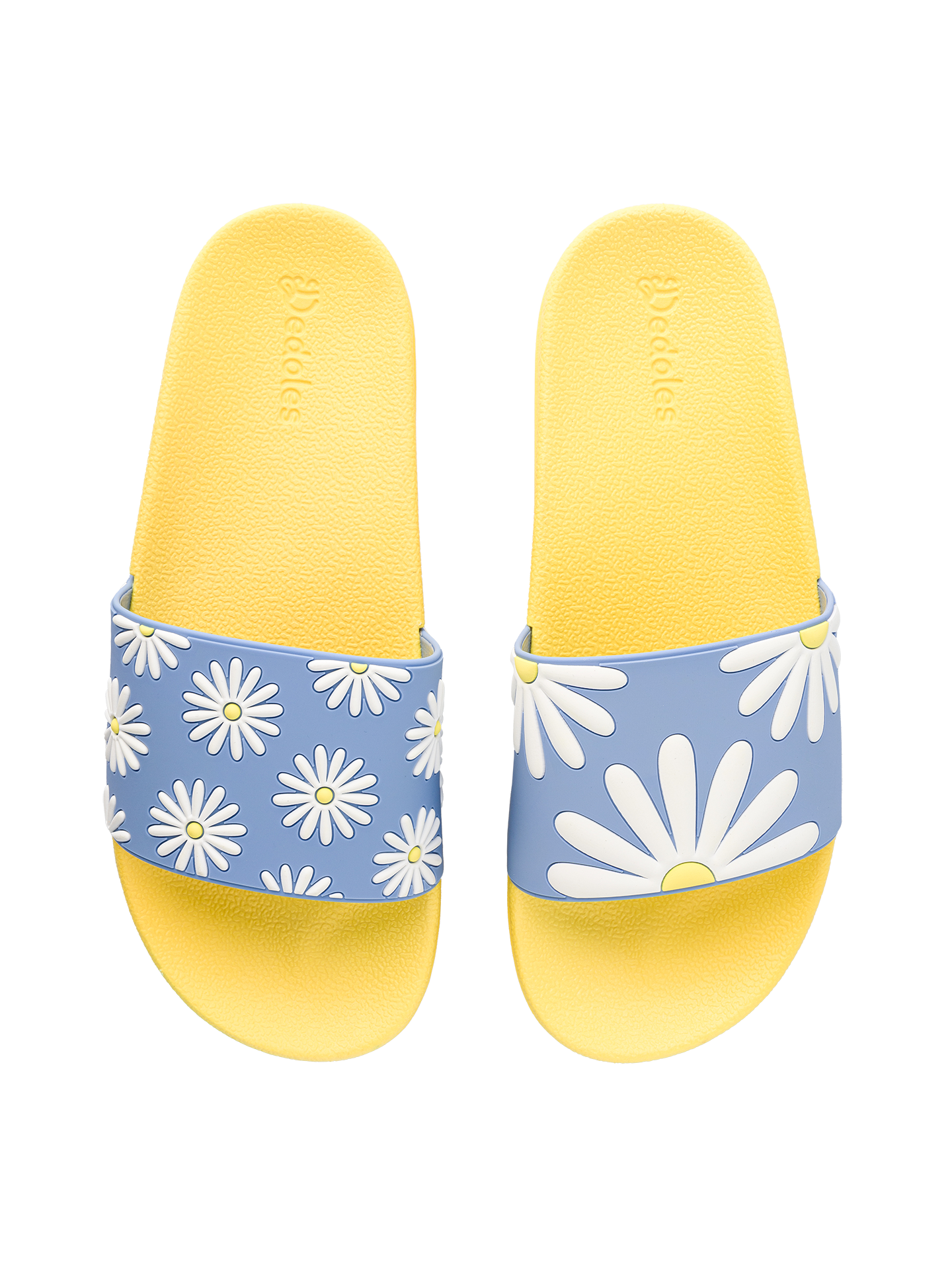 slides-sunny-daisy-1b/1bc9f947c3470d36be2d6d81462dcbc3be3cc55c
