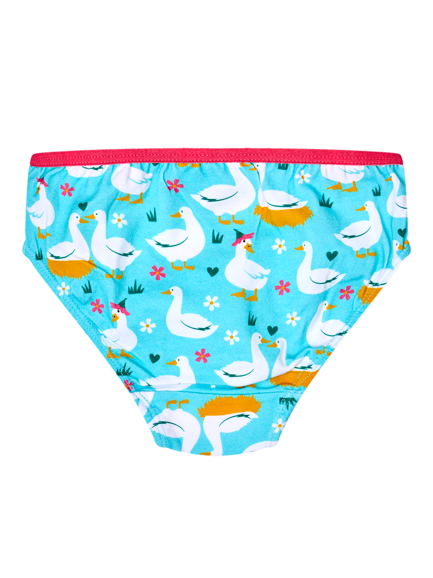 girls-briefs-goose-flowers-fc/fc40957bace827c461f27e50ca1ce67c7d5931ef