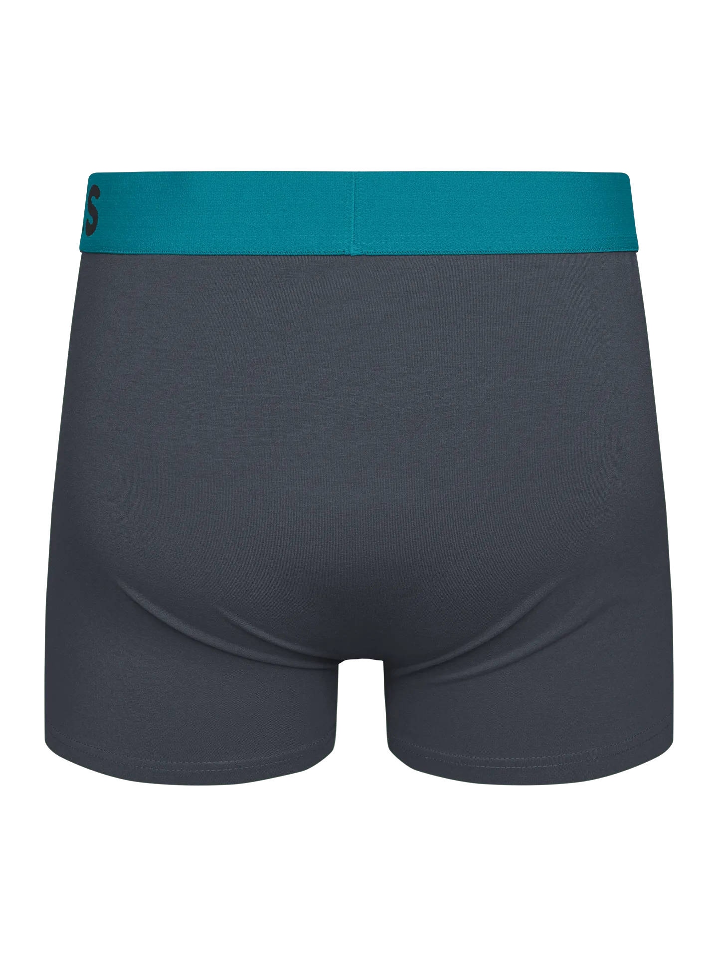 anthracite-grey-mens-trunks-78/78bd35e5e0e8c742068ce801efe668554a852d8b