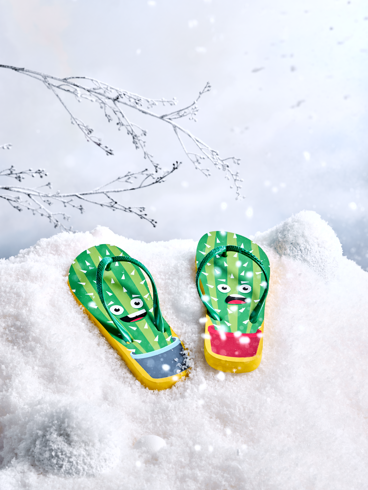 flip-flops-funny-cactus-f1/f1947cc1da71f2a09907956269463207868e4e76