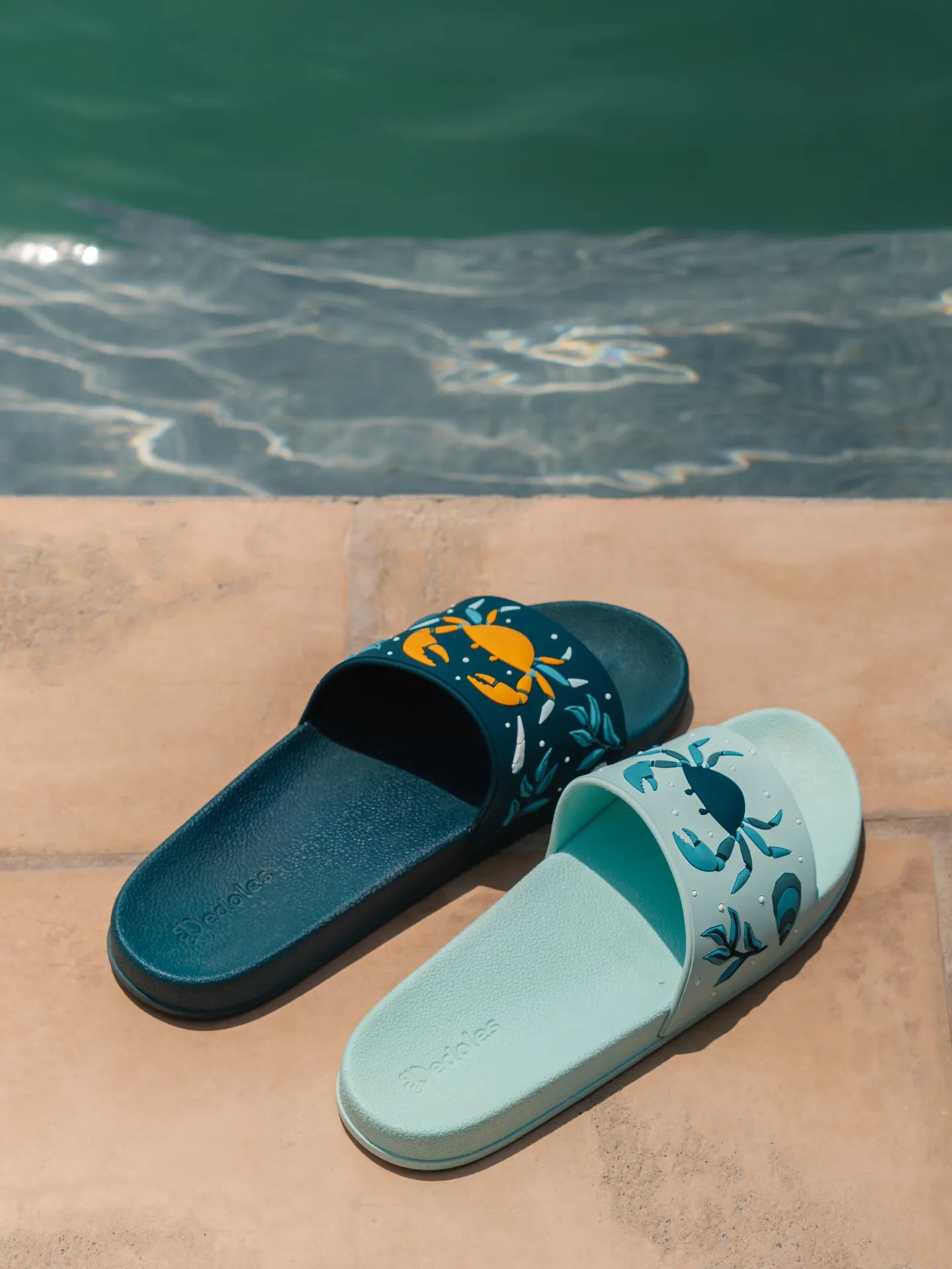 slides-sea-crab-1-ce/ce81915a0e2d303f595d341f258bfd6ca2312d78
