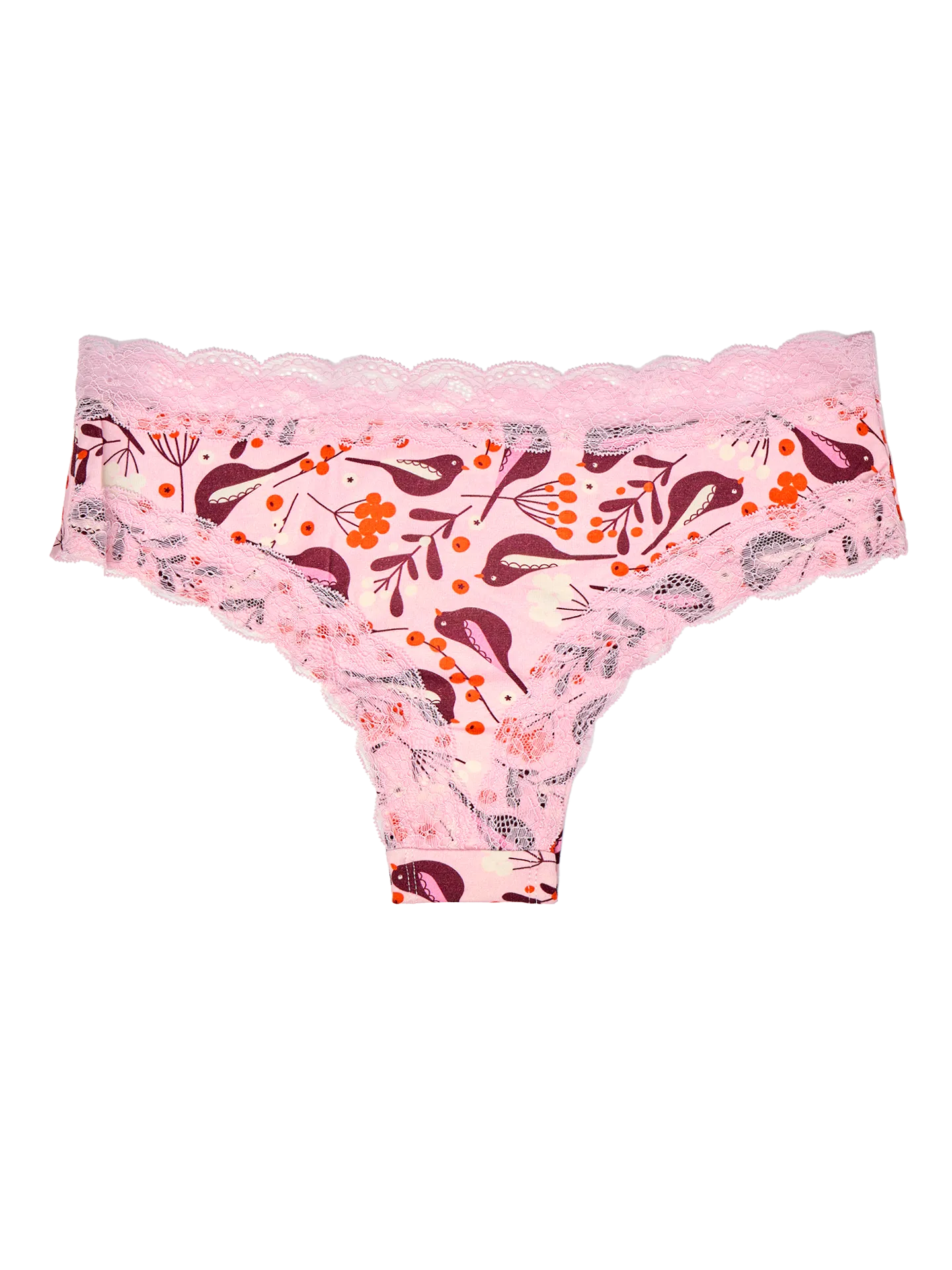 women-s-lace-hipster-briefs-birds-berries-aa/aa17b1a1bfb31d526597bd9790d6d3e7f5f87b33