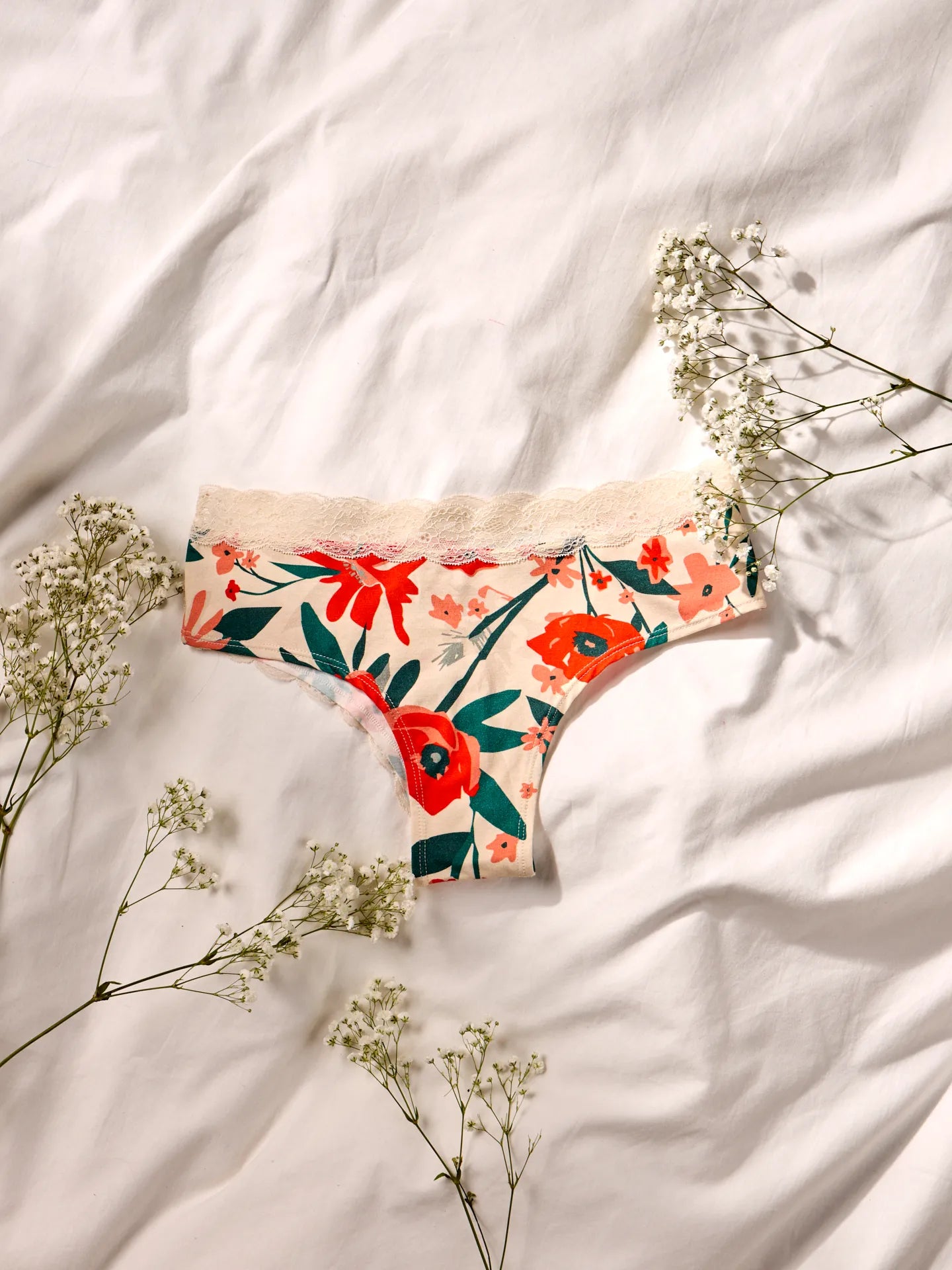 women-s-lace-briefs-poppy-garden-33/330d200bac6168ee1f1577cd74da623f9ab65c63