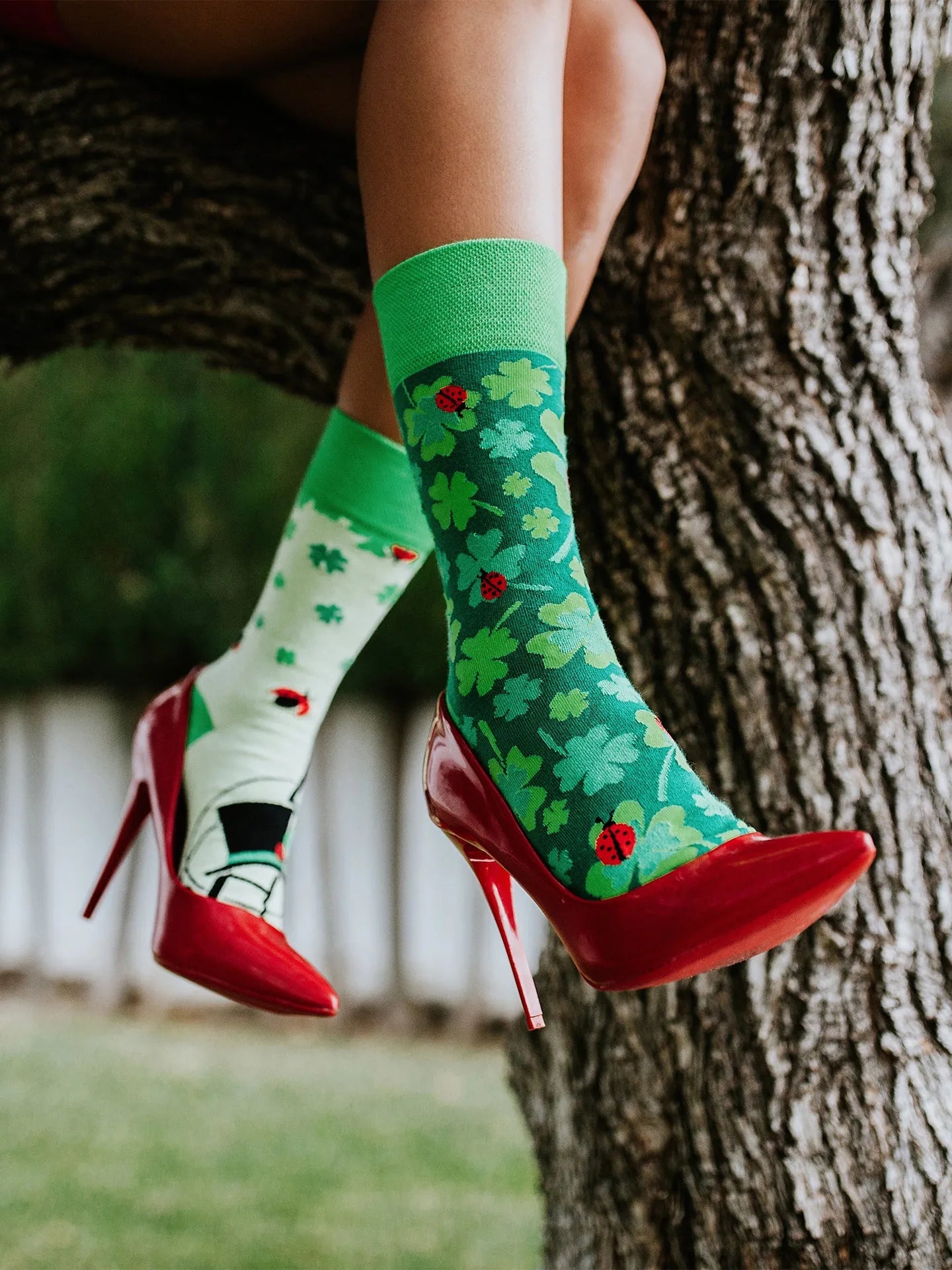 regular-socks-four-leaf-clover-for-luck-1-24/24a68d2a55cf8ab1c3c289974c5760b28dedf964