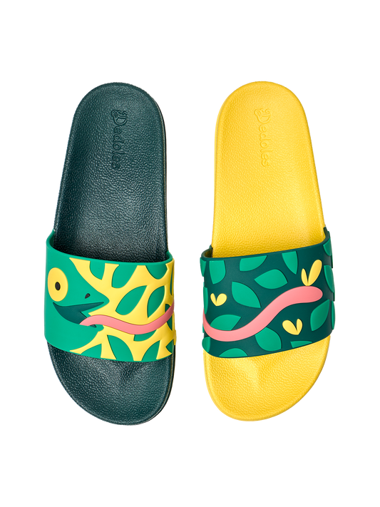 slides-hunting-chameleon-5d/5d68361dfb7e7501f59544c5632f09688a29d149