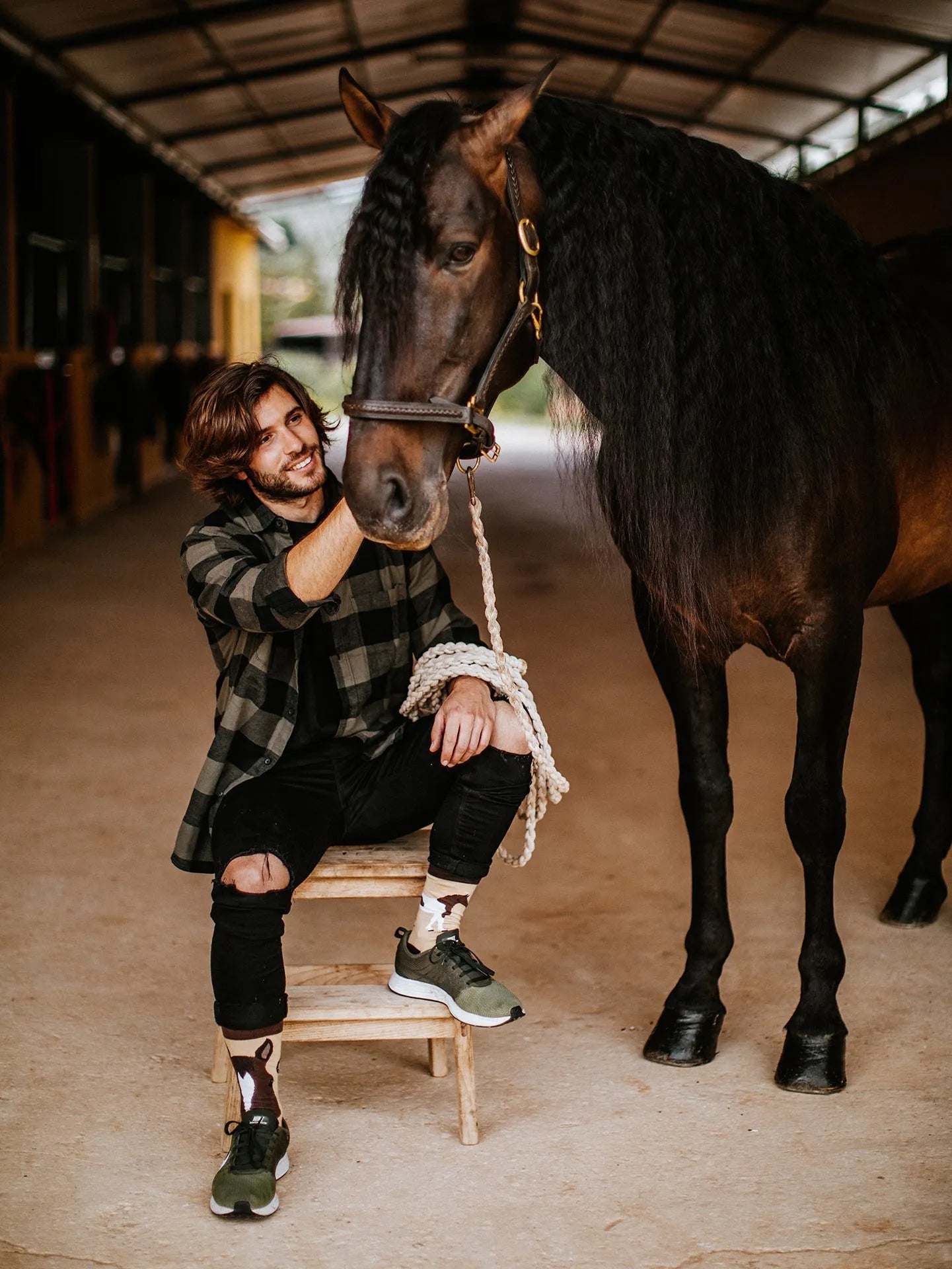 regular-socks-horses-03/033af3dcf9bd3c887956ecdf4b504b19dddd097c