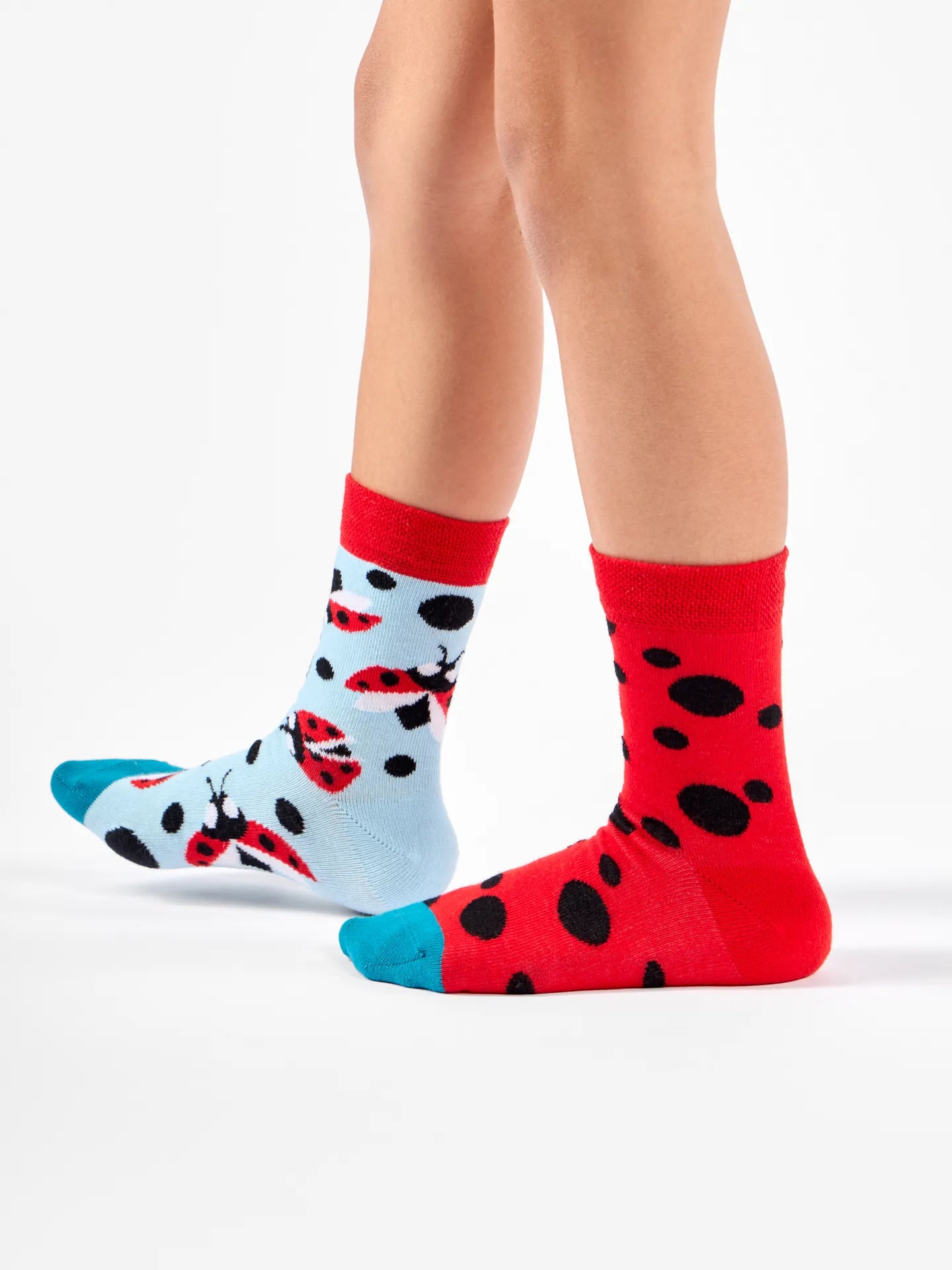 kids-socks-ladybugs-dots-1-94/9452488e80ecb77179aa519bf264d9e2b71d9209
