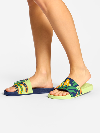 slides-toucan-leaves-8c/8c8148892212250e4779f17c6d899e69cdcf3aab