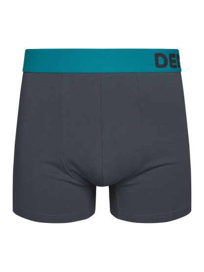 anthracite-grey-mens-trunks-69/697387afea245a78224dc05788a1400c659e4e86