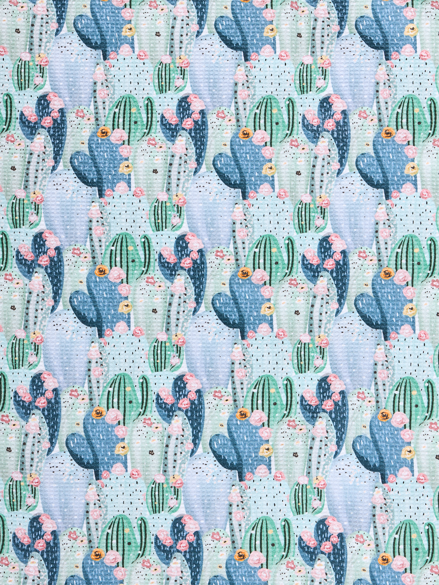 kitchen-towel-blooming-cacti-9a/9aca1067cf63452035f7700b92445606c881b7b9