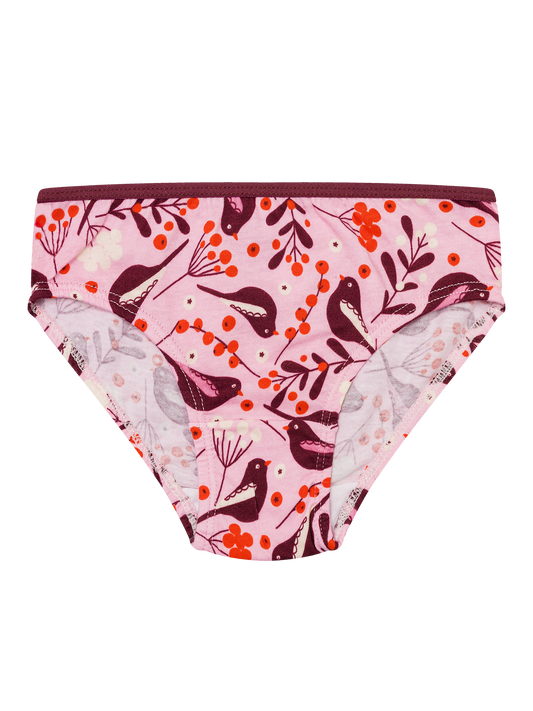 girls-briefs-birds-berries-46/46d566a80bce241dc3573dcb99ae30251263b78e