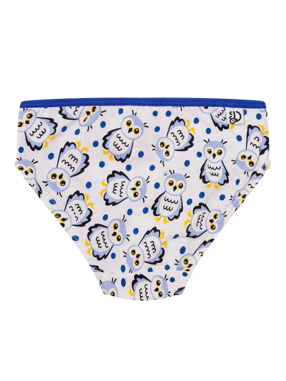 girls-briefs-snow-owl-f1/f1a3acc1f5a5536dbee51016de126475245e18df