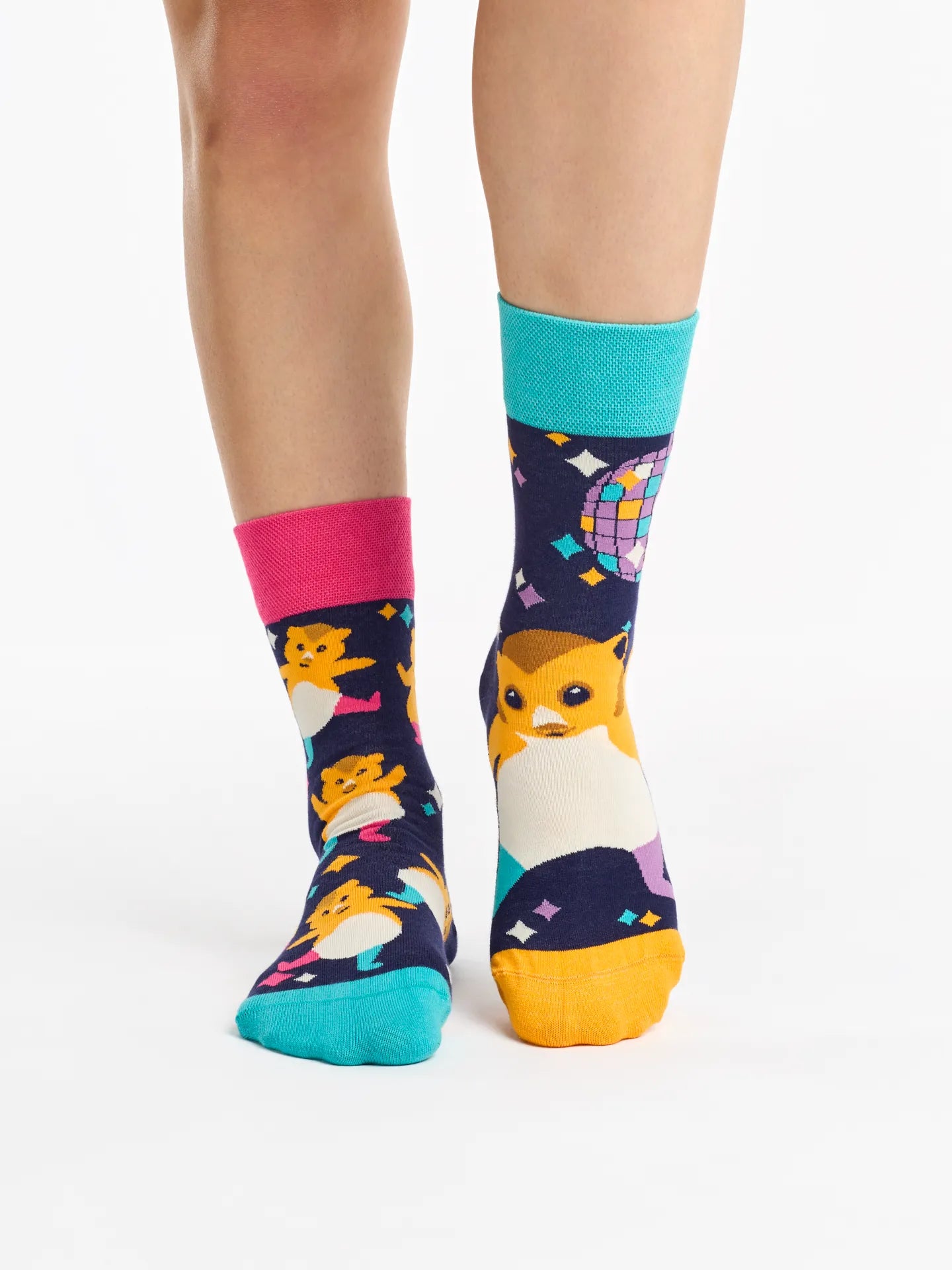regular-socks-party-hamsters-1-1d/1d3ff8abdd885b2eae20a5c4c494ad6b6bb020c7