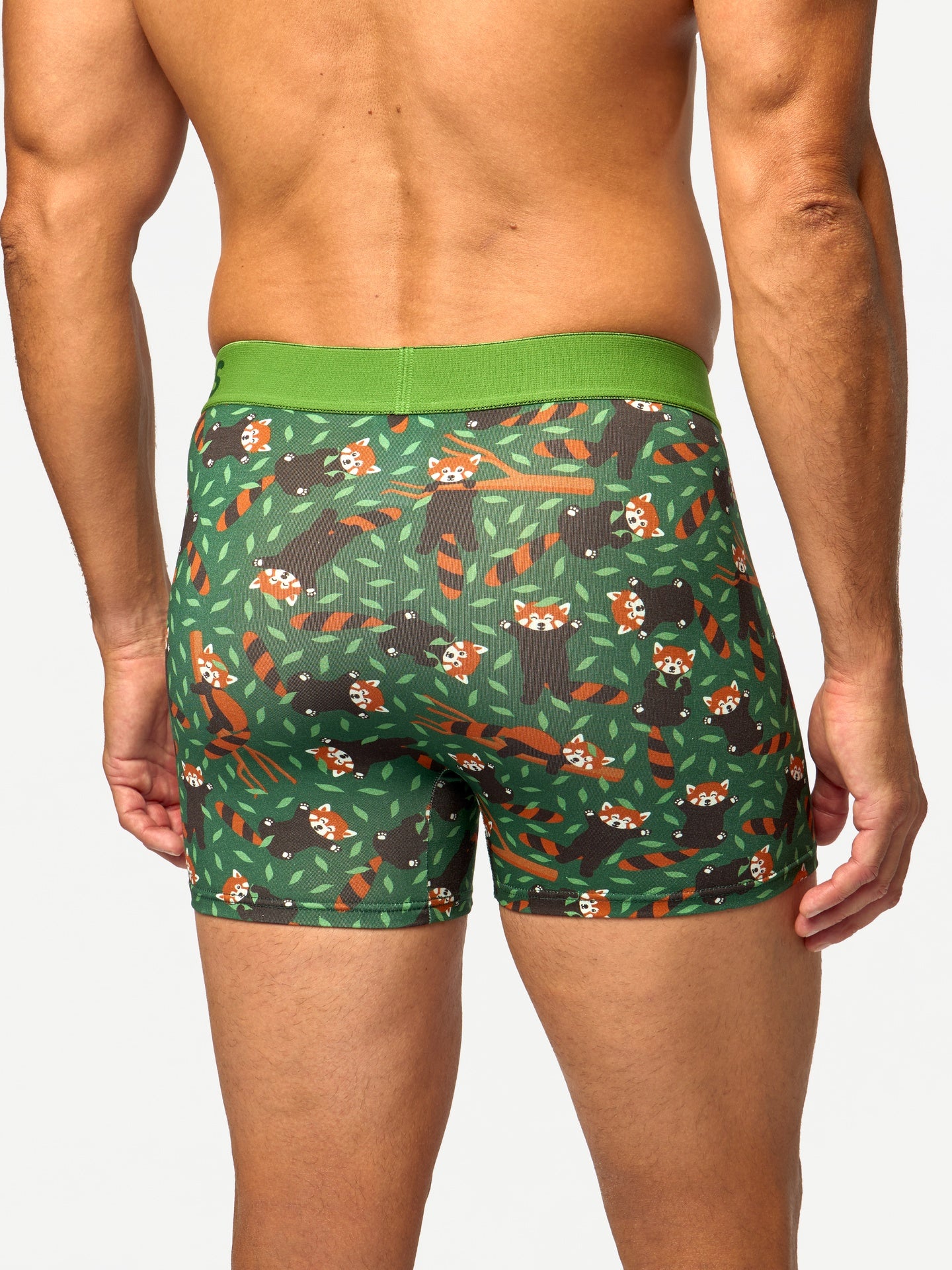 mens-trunks-red-panda-a7/a785915285a680bf7f44f5f0a7d224ca5bcef3eb