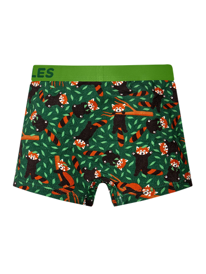 boys-boxers-red-panda-ea/ea99a5b6521c1e950cf05d266e61150e8da4dc45