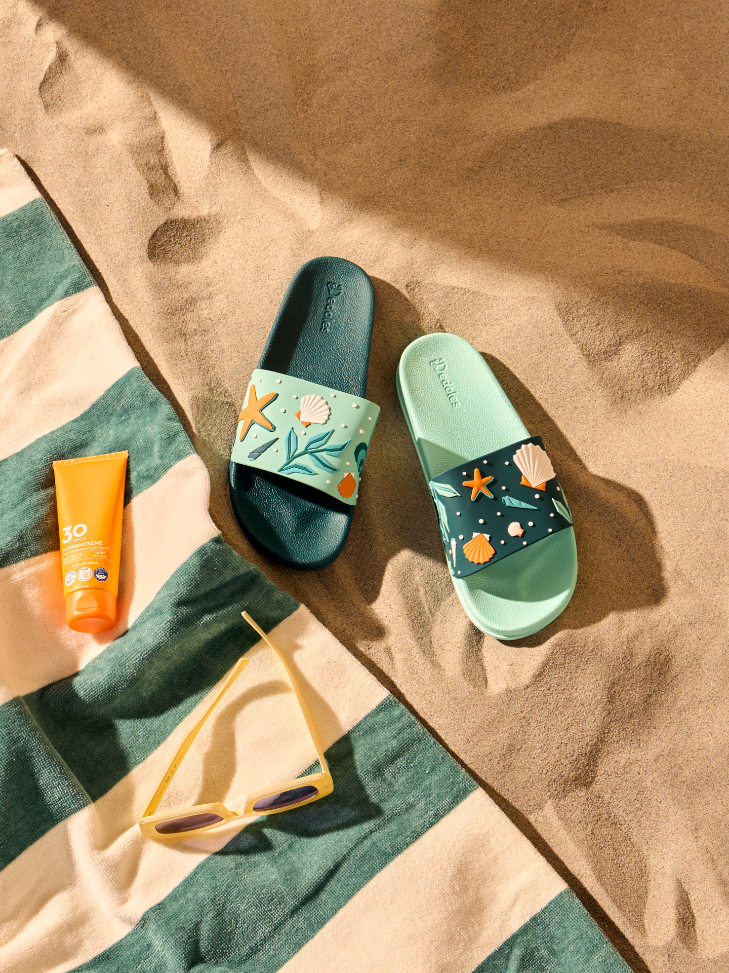 slides-seashells-e7/e785fd15b0d47537605156fdf8423aa693d6e277