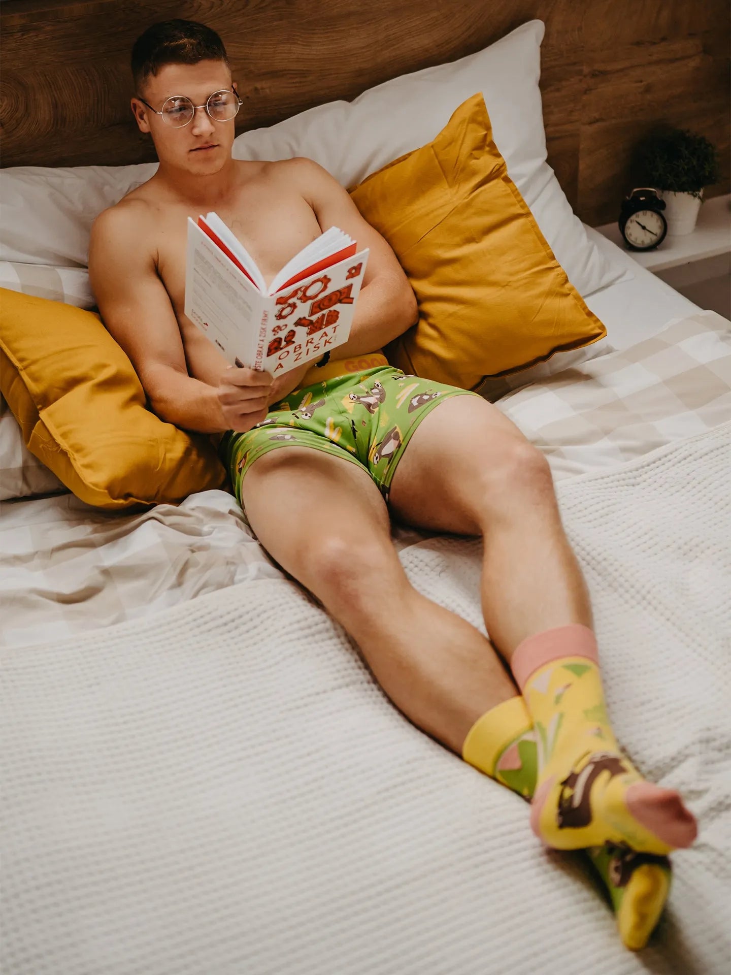 regular-socks-party-sloth-1-be/be052885efd737fdebde7d39b978a8e87a0128bc