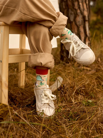 kids-socks-dino-skatepark-26/26f2c901c2247b5d9021aa3fa5075cb2ef51c803