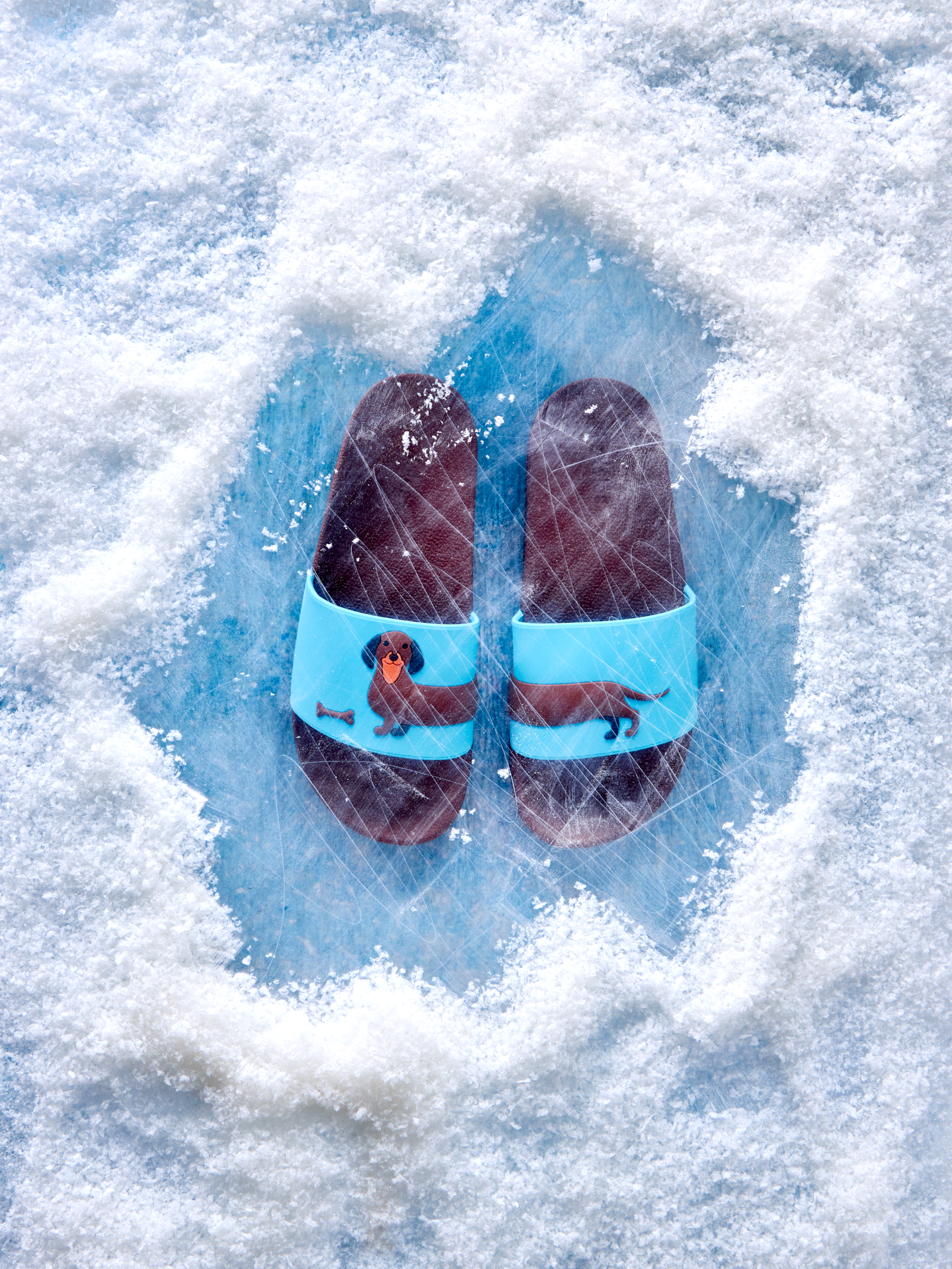 slides-long-dachshund-73/736ea0c01f0e6ddcc08f6d2540e19a35d635c3e5