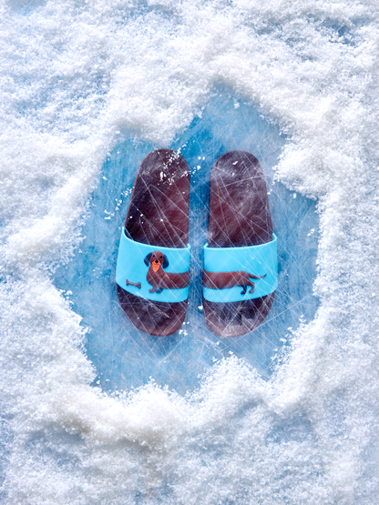 slides-long-dachshund-73/736ea0c01f0e6ddcc08f6d2540e19a35d635c3e5