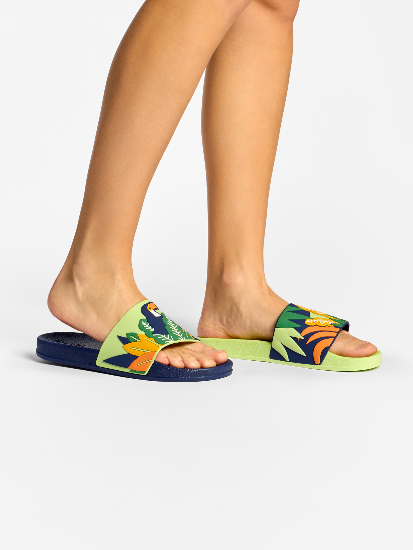 slides-toucan-leaves-7d/7da3445db43eb59c28cea2c17e6b07847ed85149
