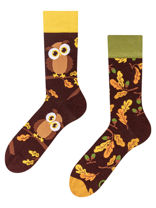 regular-socks-curious-owl-1-e1/e19b4ebf0026b8e0561871f7a516343d422c01ce