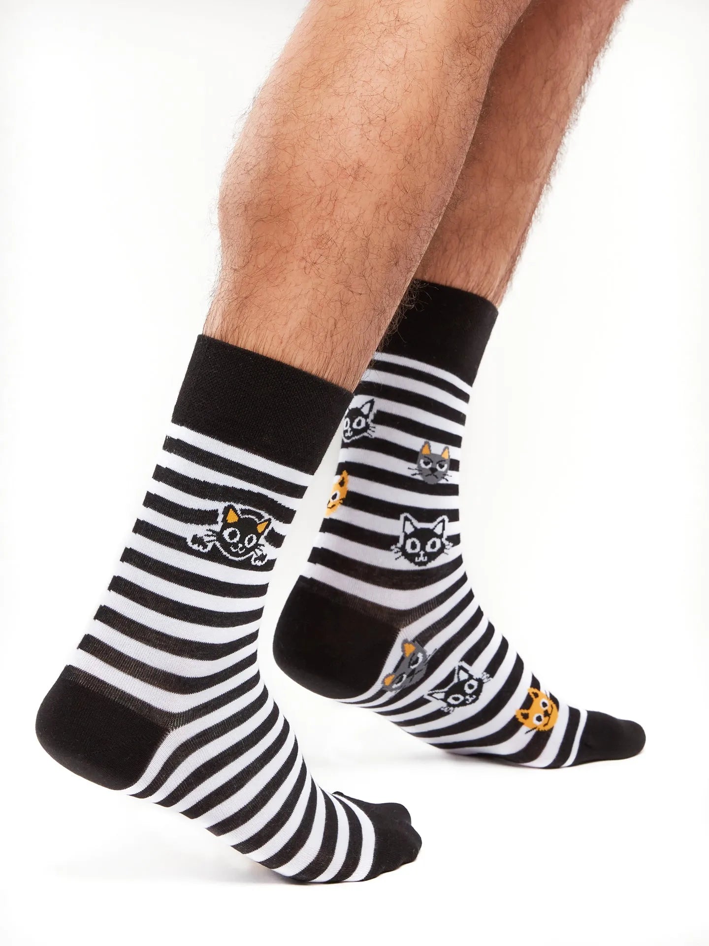 regular-socks-cats-stripes-1-b0/b09eeacad05dfb6f80feb5d41e58e51eb856af4d