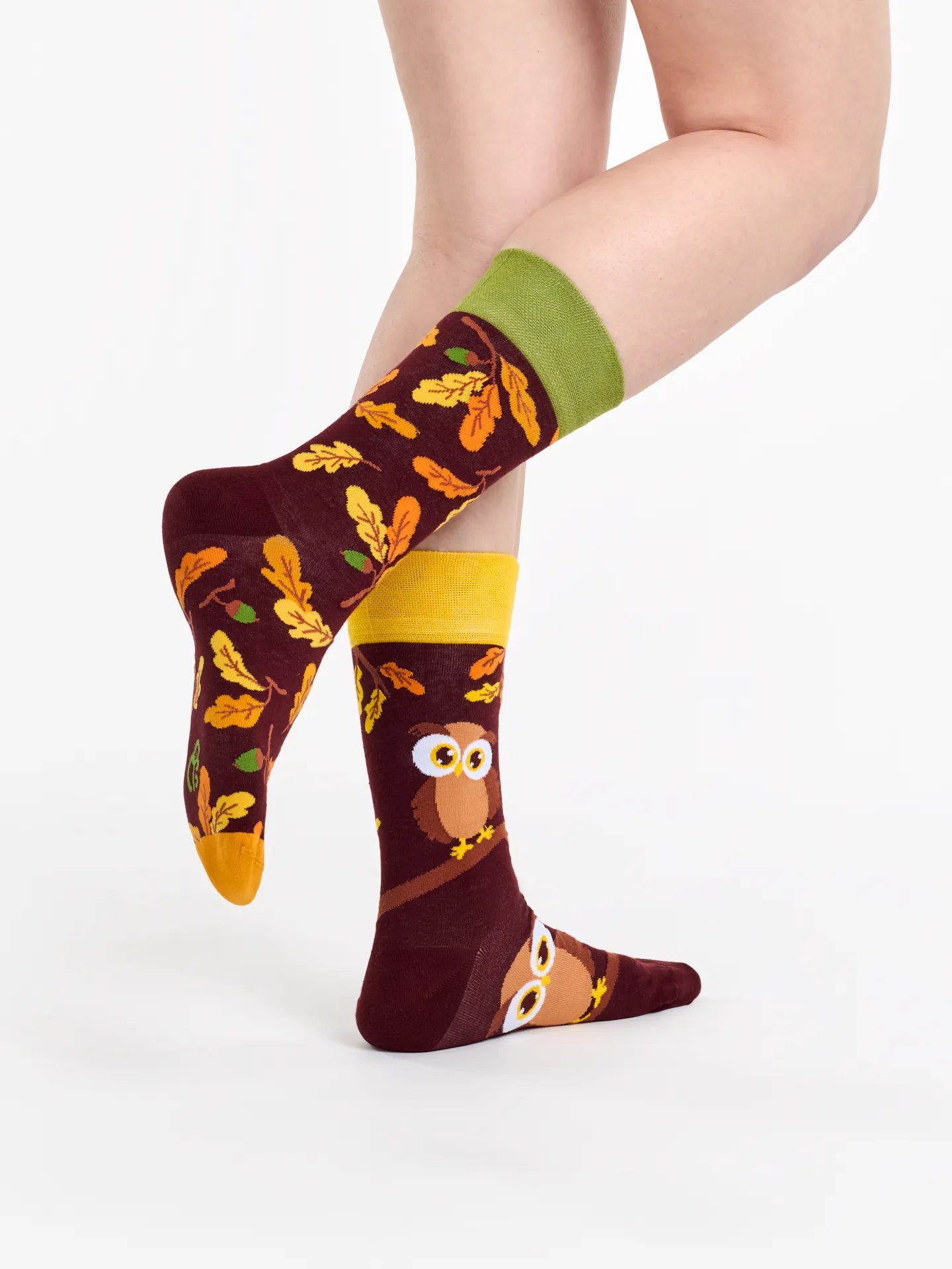 regular-socks-curious-owl-1-33/330437dae9ece4d8538e6f0bf89775c7183bcdcf