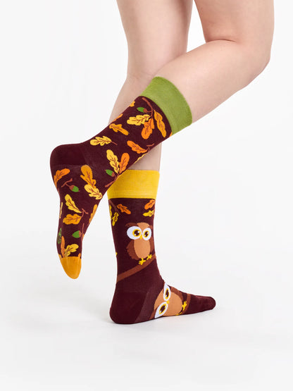 regular-socks-curious-owl-1-33/330437dae9ece4d8538e6f0bf89775c7183bcdcf