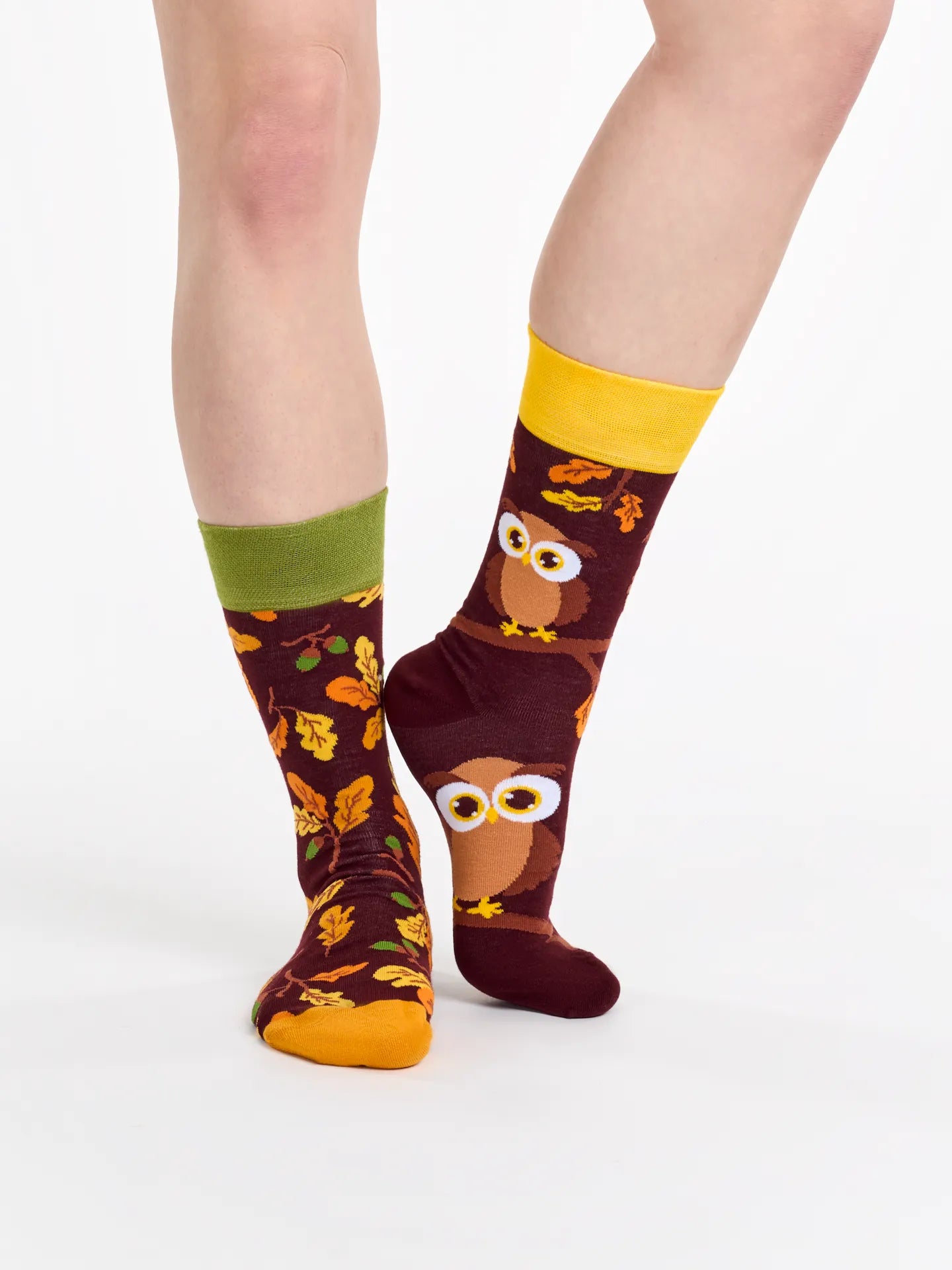 regular-socks-curious-owl-1-34/347686dda5f92bd809417933ce6a7540ef065683