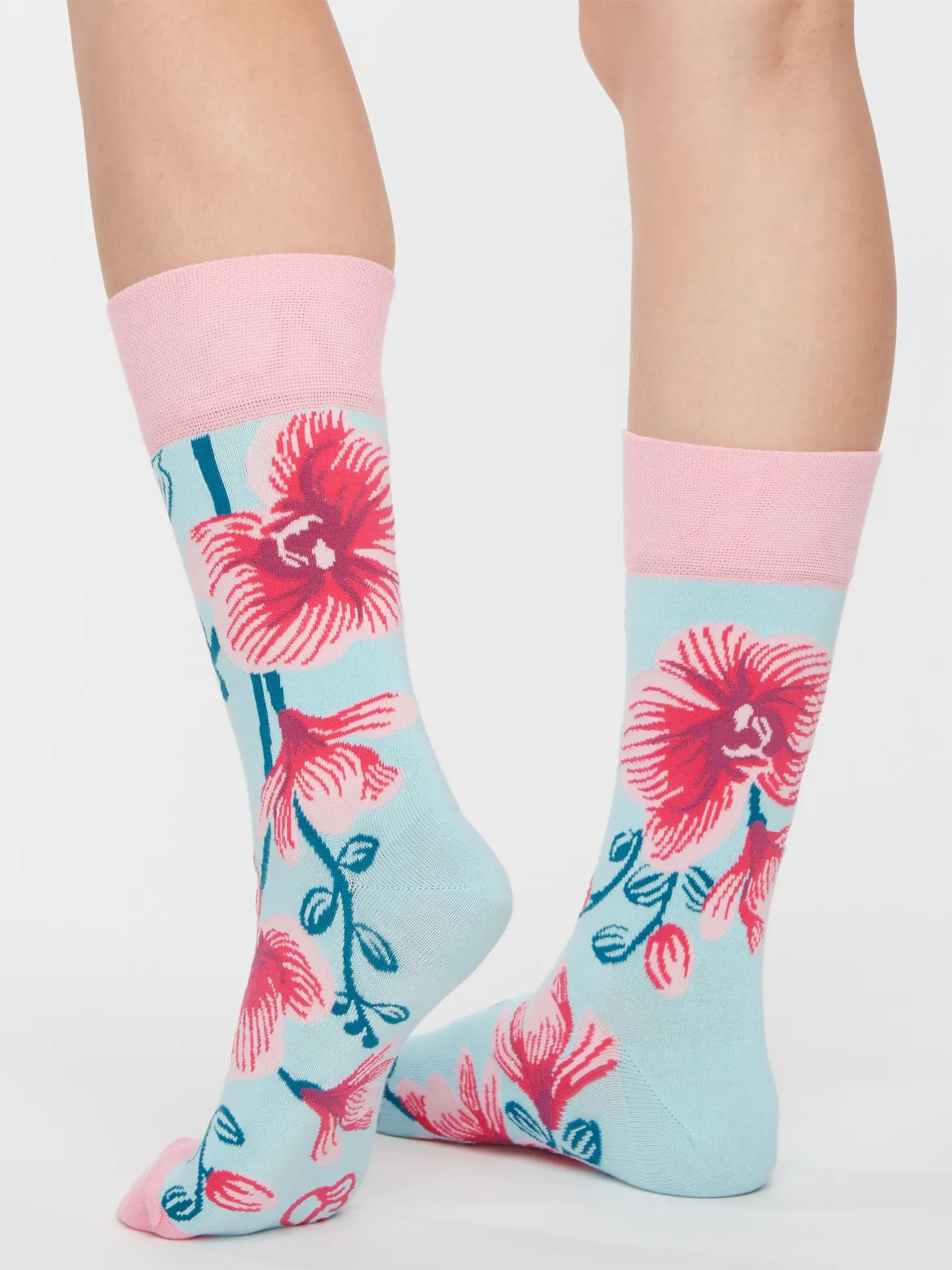 regular-socks-orchid-1-b6/b63d62595103adc676dcdc3f9a0a745a7f8c1ce2