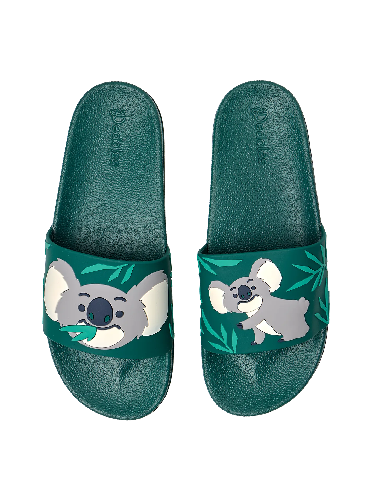 slides-koala-leaves-3c/3c9fc5f4bfb4412b6549eb25a91ec53fea67f200