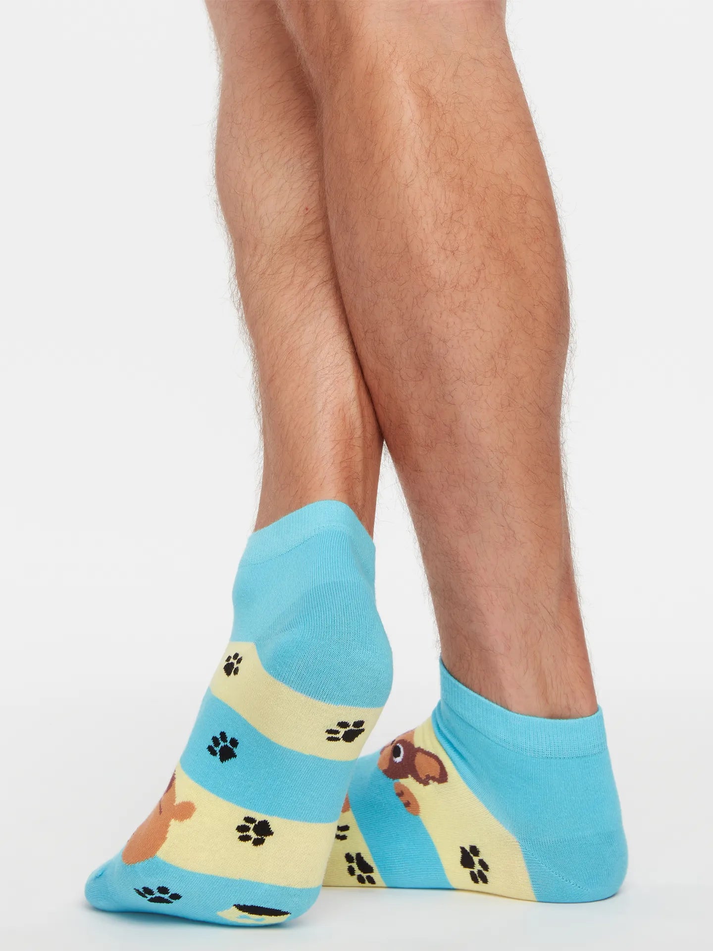 ankle-socks-dogs-stripes-1-a6/a6d308fbd40f2a7209b92137a695a3271c4d95ae