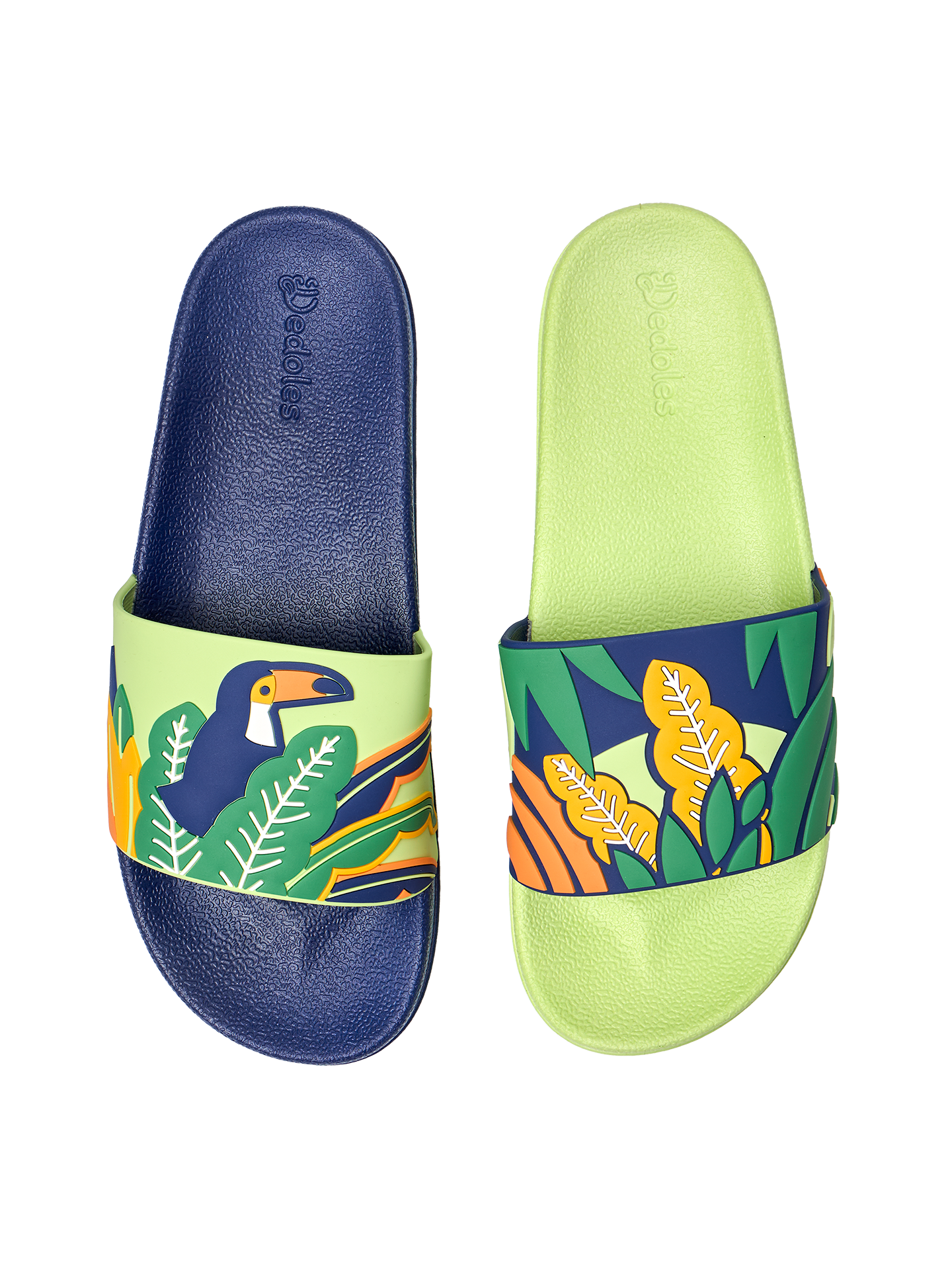 slides-toucan-leaves-d4/d48a2af0e74b23cfd411de45fab475fb42ec137c