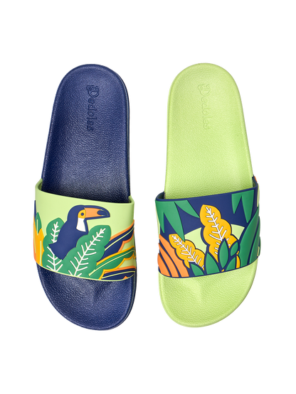 slides-toucan-leaves-d4/d48a2af0e74b23cfd411de45fab475fb42ec137c