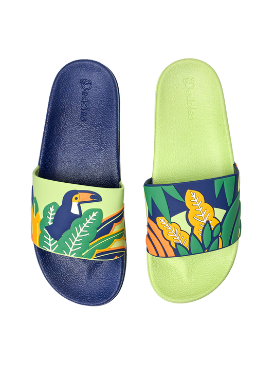 slides-toucan-leaves-d4/d48a2af0e74b23cfd411de45fab475fb42ec137c