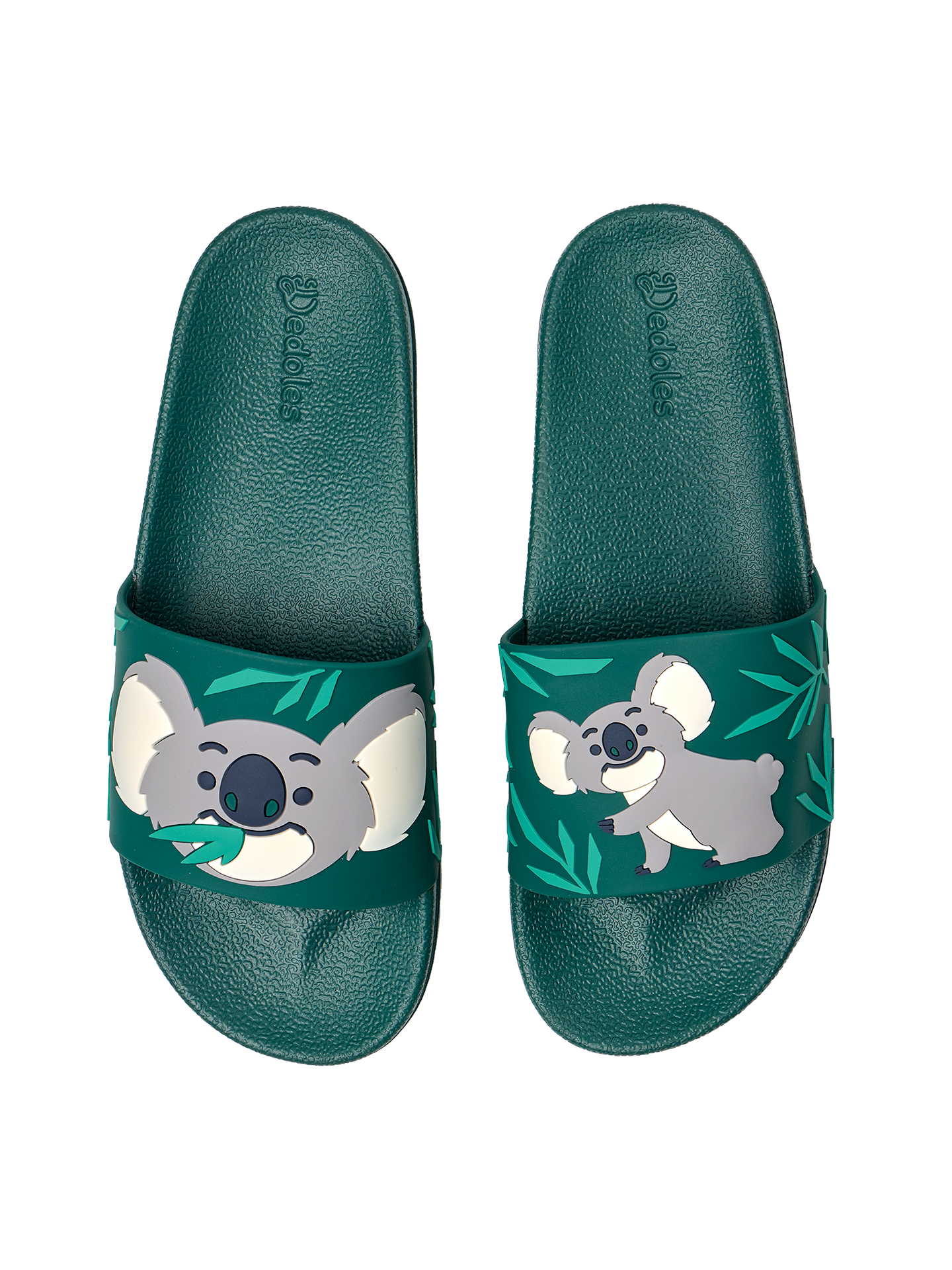 slides-koala-leaves-14/14e8643d21641b5250d2d570468225914db326eb