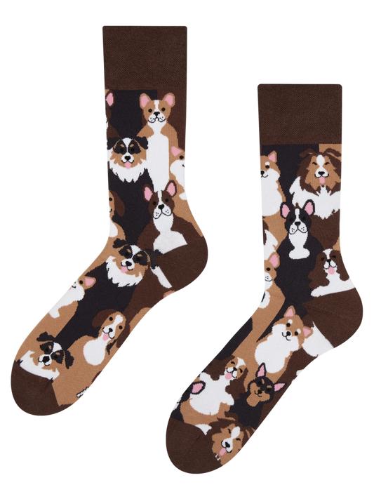 regular-socks-doggies-1-0b/0b9b669a22bf674b0ec24faa567827f829f27eea