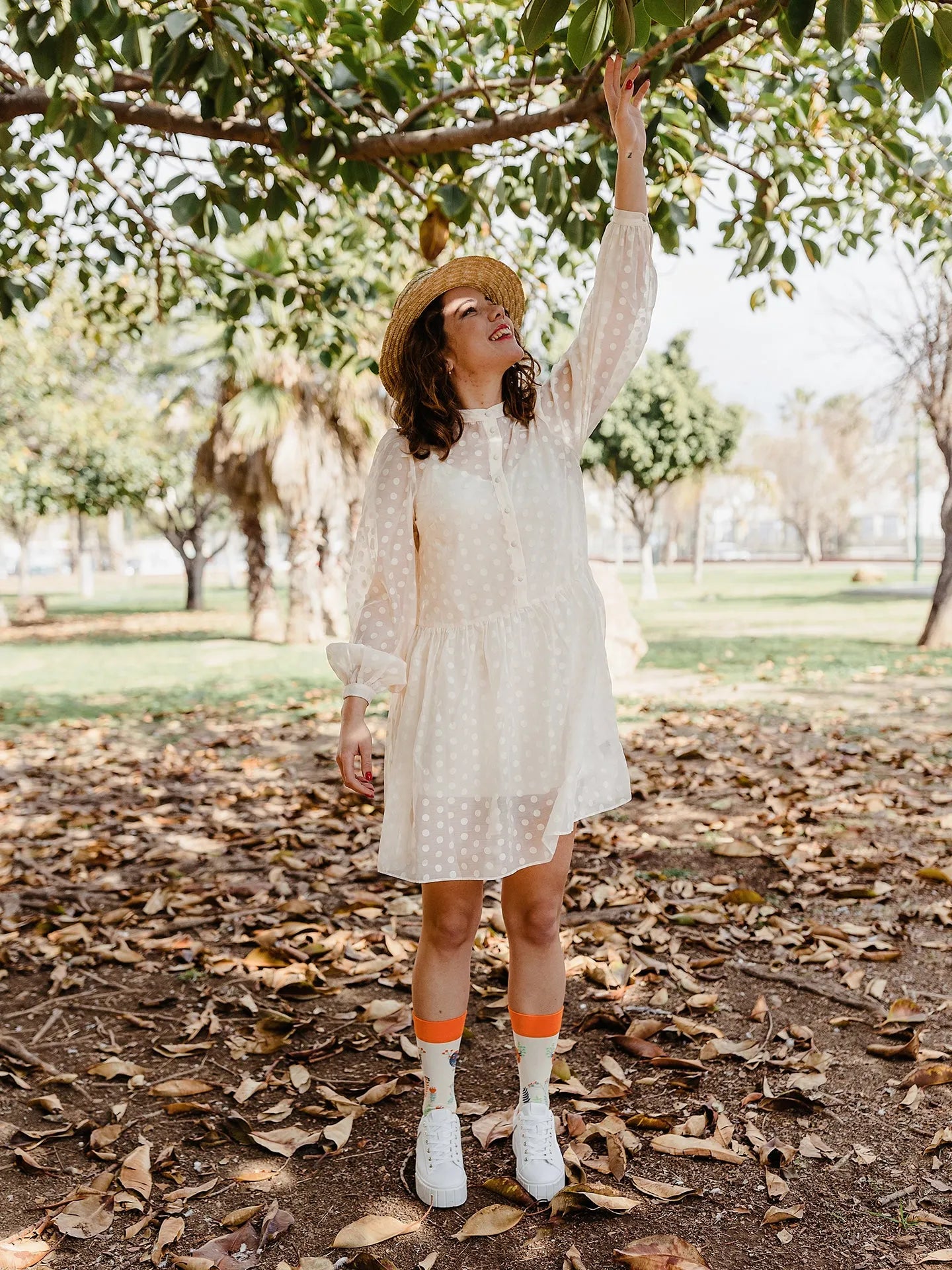 regular-socks-cute-birds-1-a6/a61d0b83e66895198774c091f717903f68f5ff1b