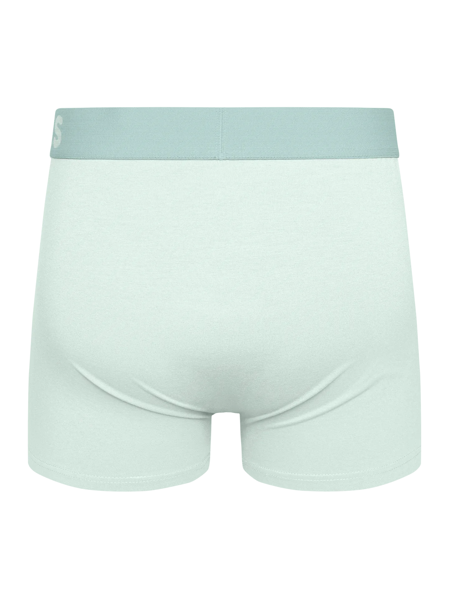 mint-green-mens-trunks-cb/cb52ca28c107140145df1536c89a8e93942aa526