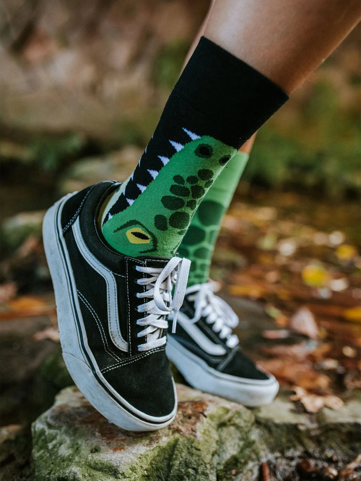 regular-socks-crocodile-48/48960b10afe52cb6db67cb9fcae9feecbf1e0f4c