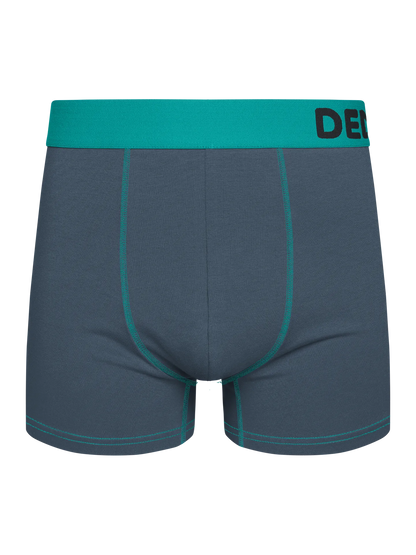 grey-turquoise-mens-trunks-1-3e/3e66c051c6a716637d58f5c37068ae9a18a1bc35