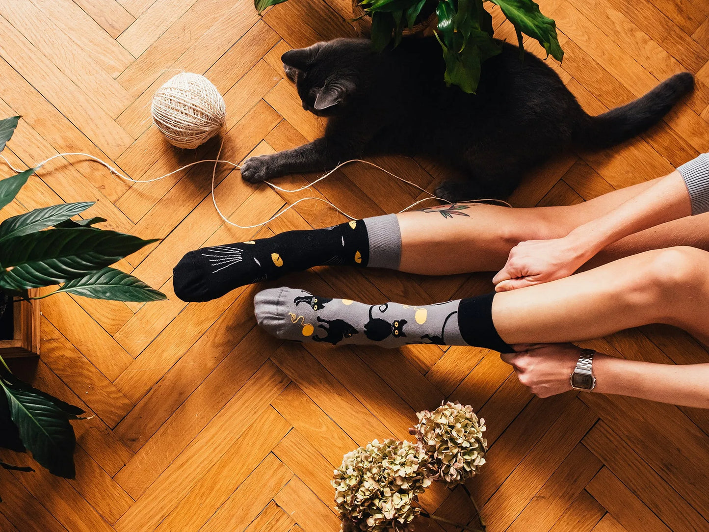 regular-socks-cat-eyes-1-fa/fa75814f16f1234c633a9adb8503245517e059d8