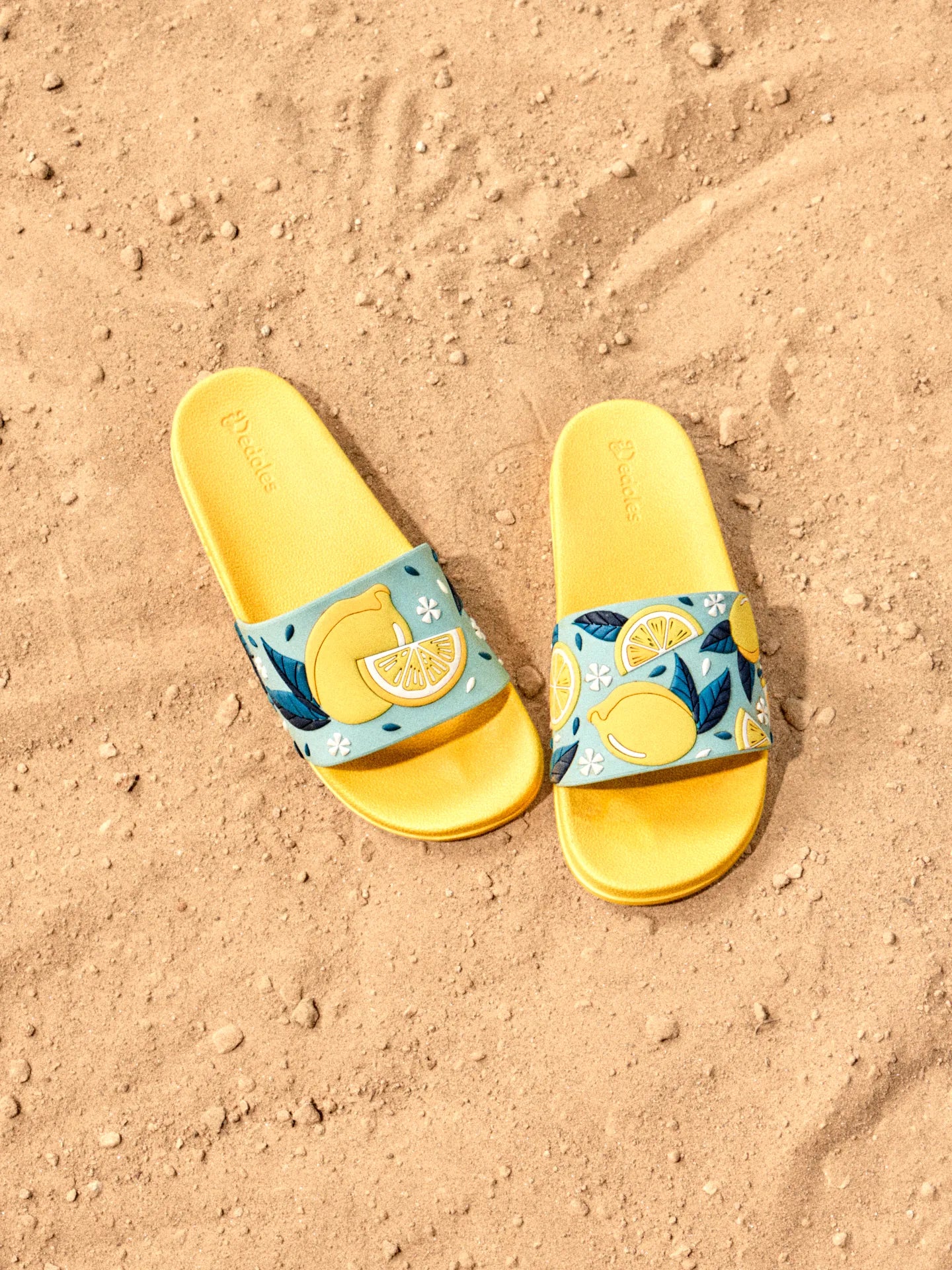 slides-summer-lemons-58/58c629c03e3547f0846bebcac9ffe004d83442e4