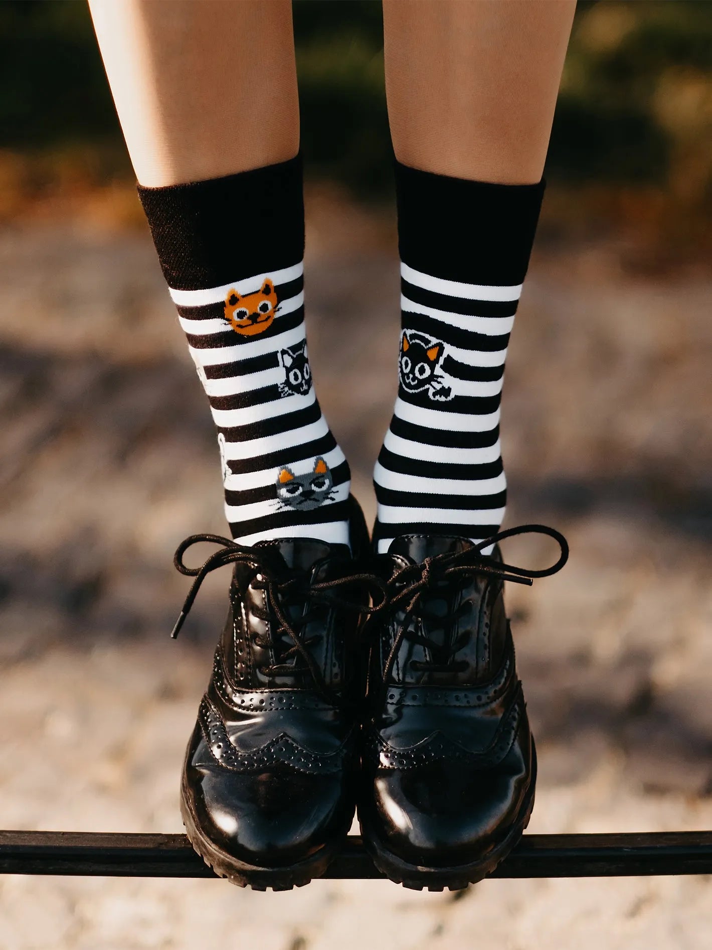 regular-socks-cats-stripes-1-bf/bf446811f50361d48d3f2f6d93bcdd8ed9e91e2a