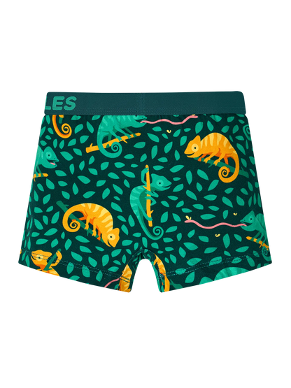 boys-boxers-hunting-chameleon-59/599cf930dd6930705069db652c962425fde074e6